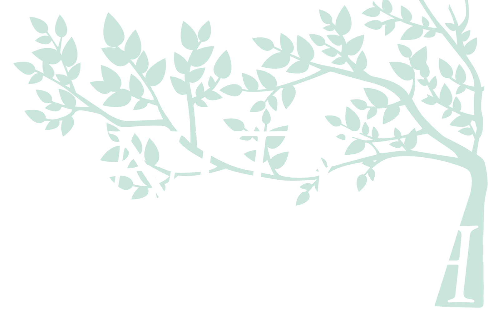 Colorado Springs Fiduciary Fee Only Financial Planning Firm | Unity Wealth Strategies